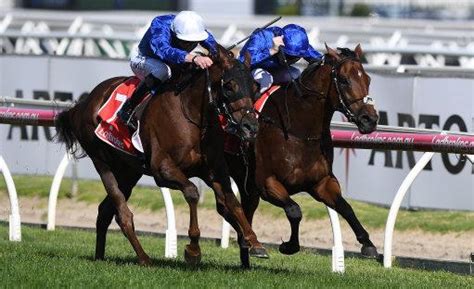 racing results caulfield|Iba pa.